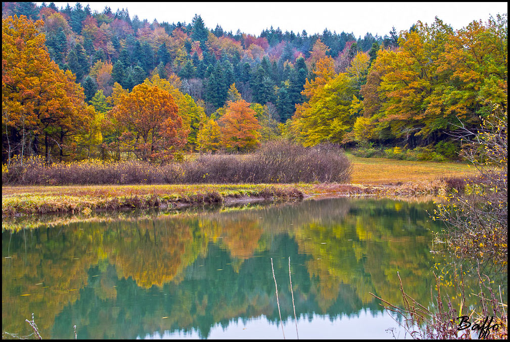 Parco del Rakov Skocjan-Slovenia